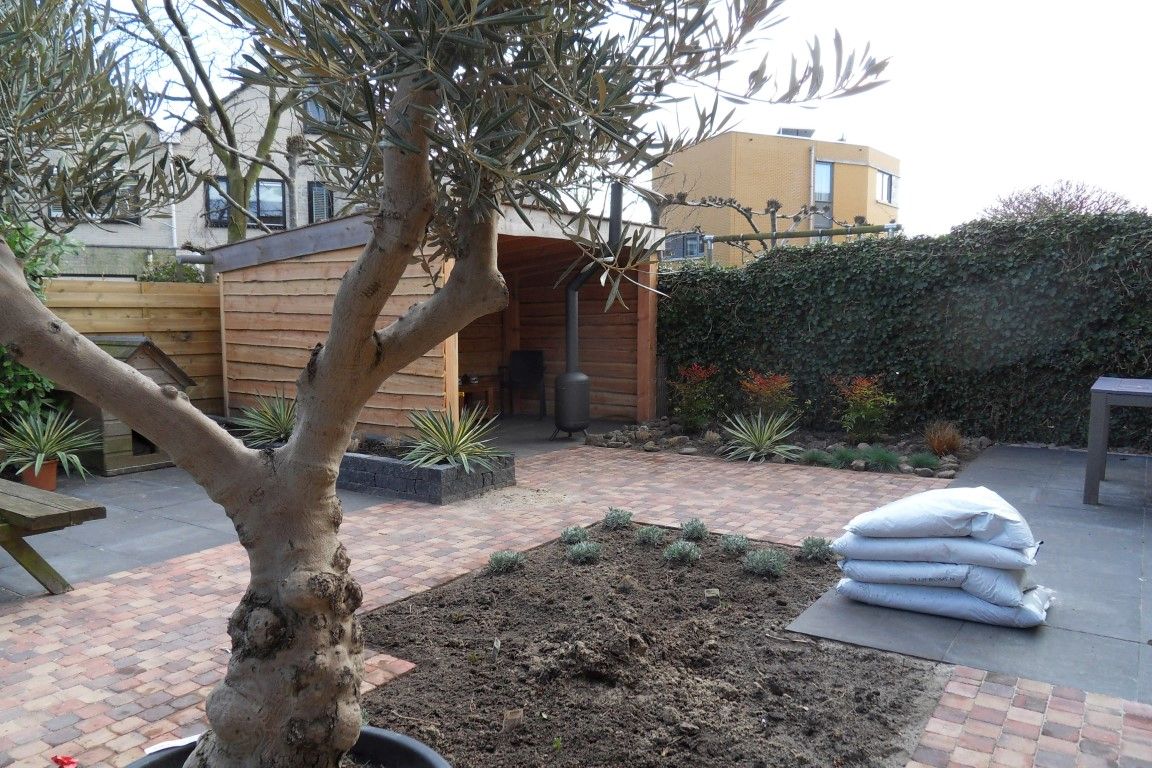 Mediterane tuin