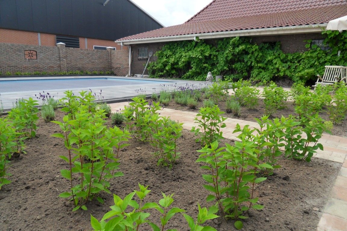 Tuin met zwembad